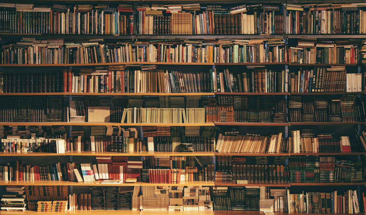 Estantes de uma biblioteca com livros e um espaço acolhedor para o estudo